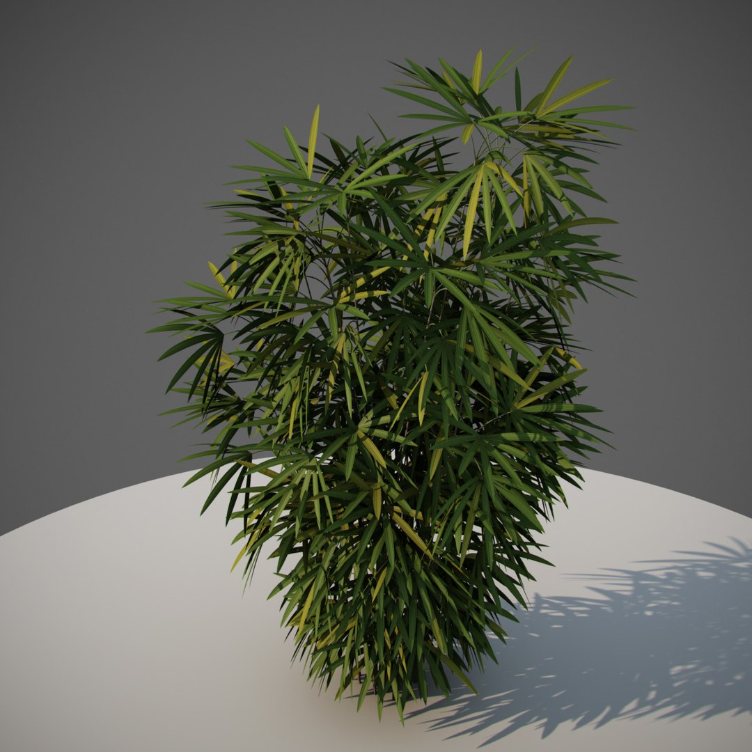 3D early animation https://p.turbosquid.com/ts-thumb/US/cGJyZs/70E05v6v/j2/jpg/1516058273/1920x1080/fit_q87/c148ff0b8922b6177cf234f88272df3846929653/j2.jpg
