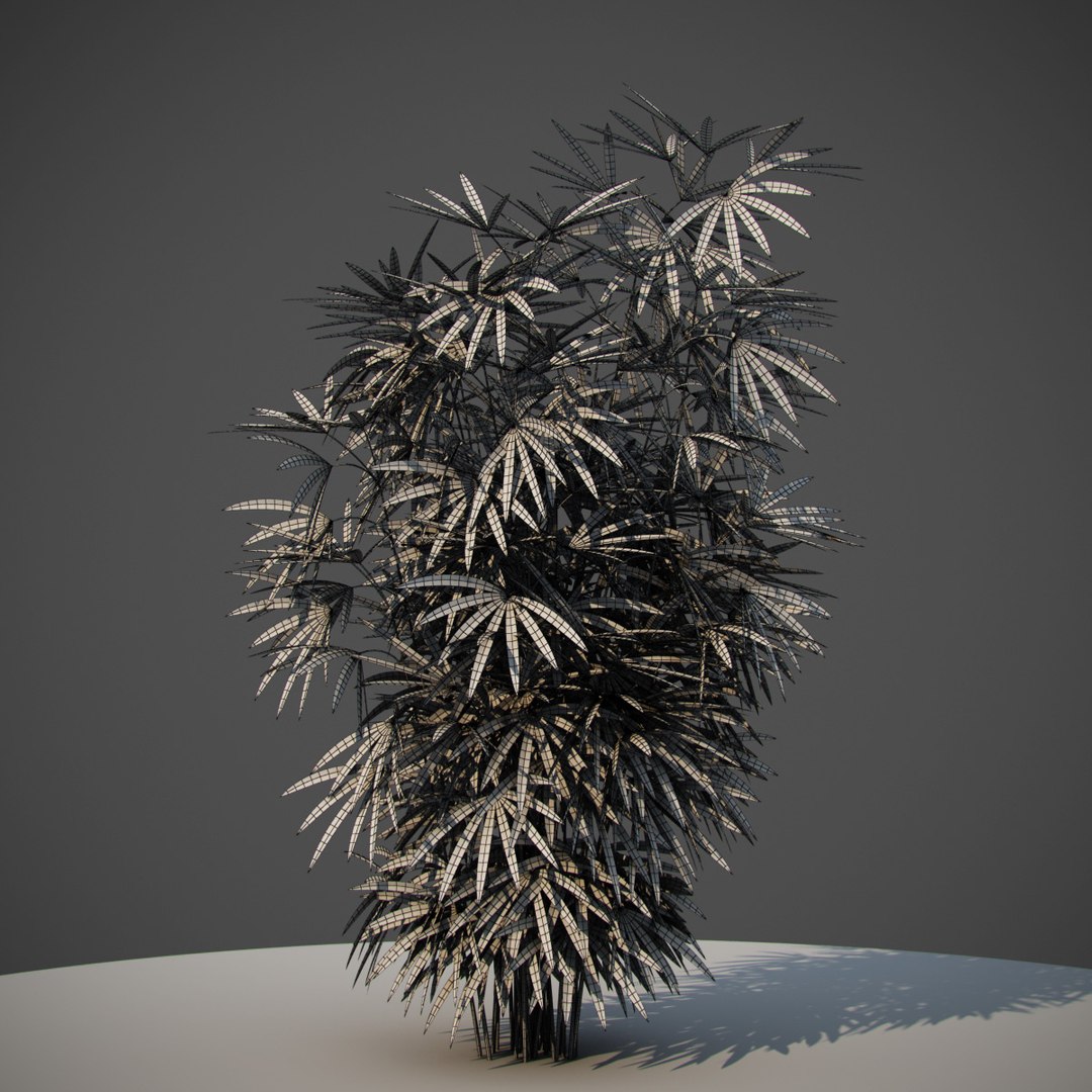 3D early animation https://p.turbosquid.com/ts-thumb/US/cGJyZs/AXhJwWaX/j6/jpg/1516058273/1920x1080/fit_q87/7b3b063cff58a1f3b09d04a824ff23eb184c038f/j6.jpg