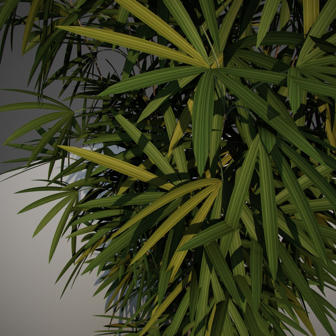 3D early animation https://p.turbosquid.com/ts-thumb/US/cGJyZs/K6uOUxoS/j4/jpg/1516058273/1920x1080/fit_q87/b4b0975054b8e615b54b61d2321d4d4a7268a6d7/j4.jpg