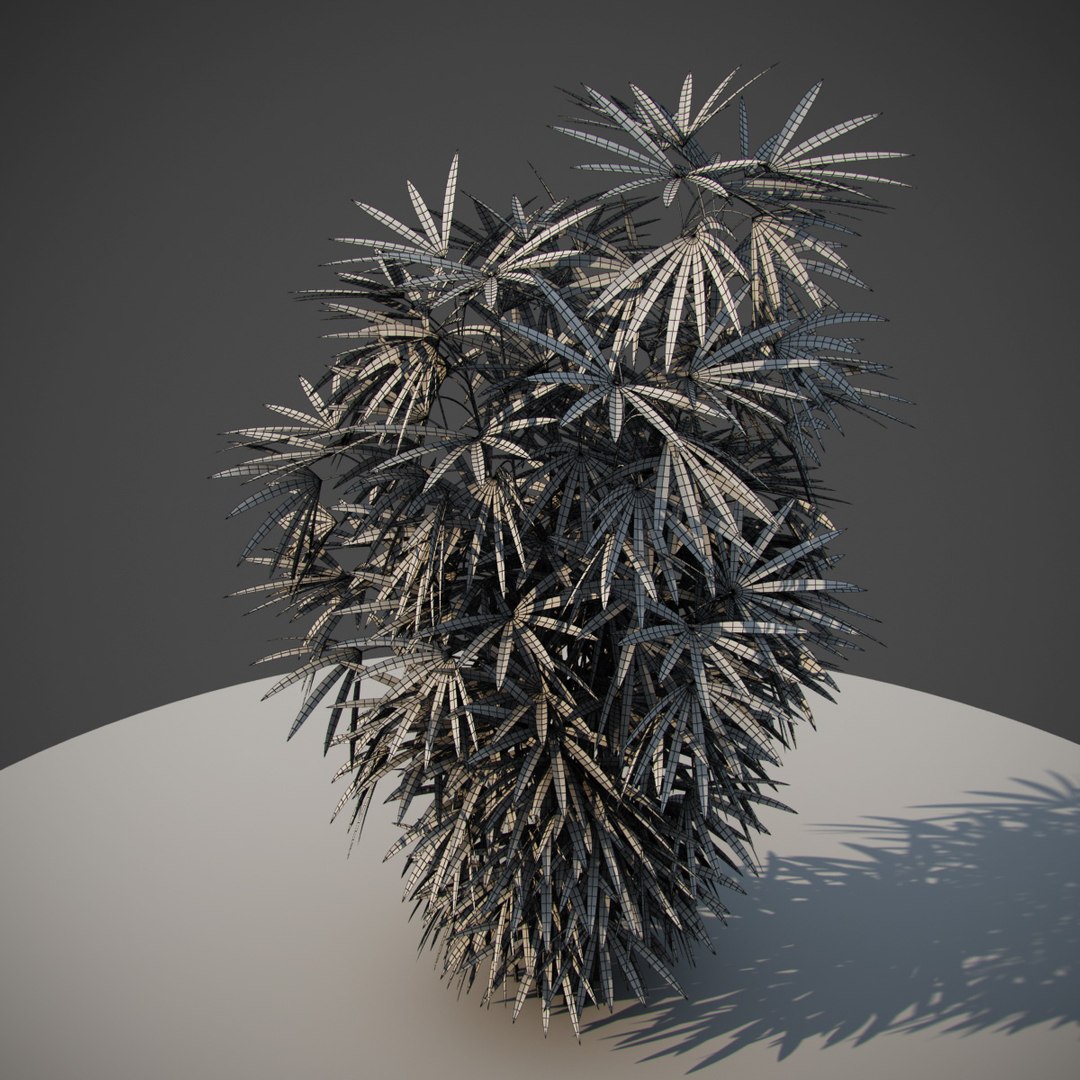 3D early animation https://p.turbosquid.com/ts-thumb/US/cGJyZs/MHsVjgKl/j7/jpg/1516058273/1920x1080/fit_q87/12faba40009201ce587ce800db798b8aff40c857/j7.jpg