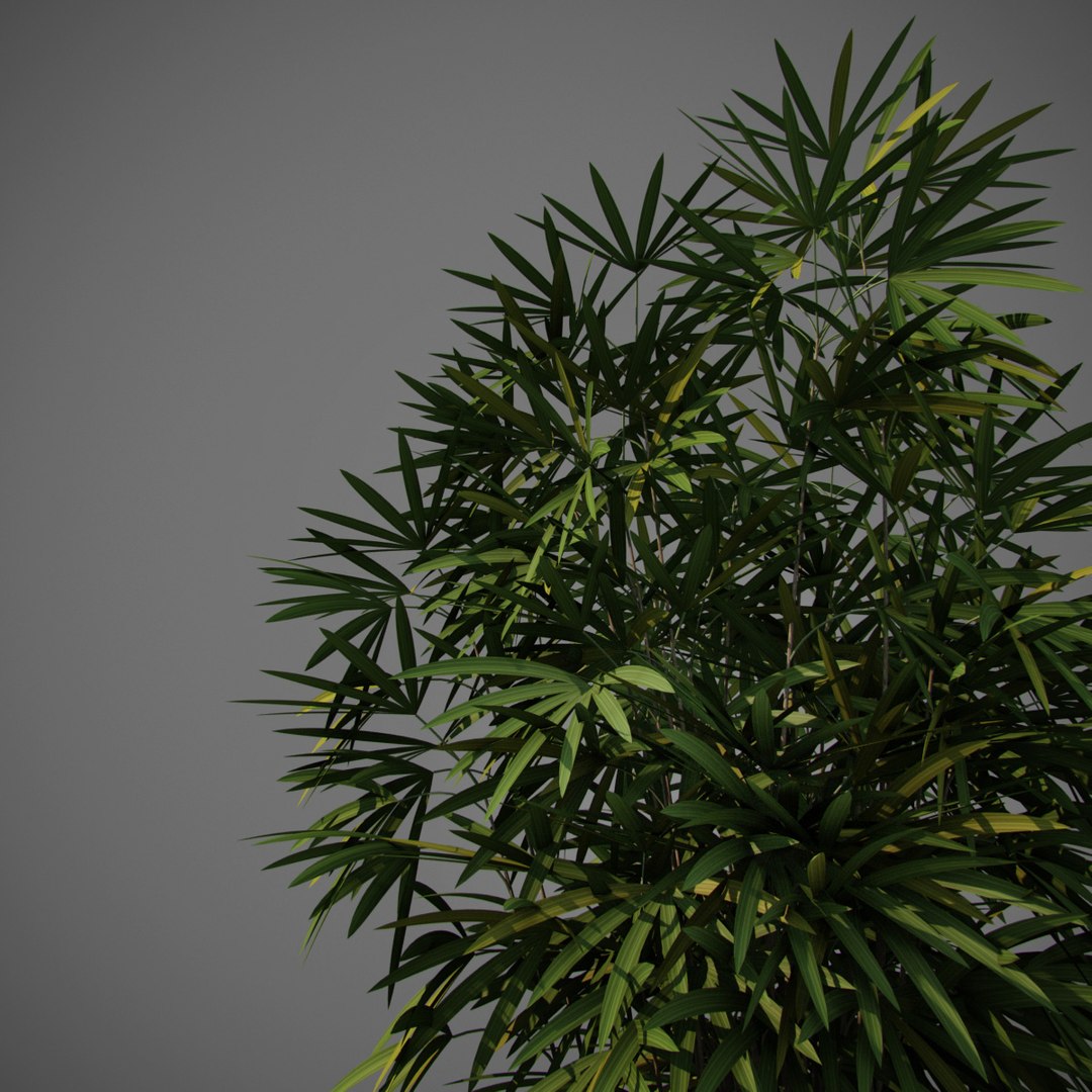 3D early animation https://p.turbosquid.com/ts-thumb/US/cGJyZs/dtpVKWKc/j5/jpg/1516058273/1920x1080/fit_q87/62674d1358a2e12e30252b2f9ef11aa0cce7c05b/j5.jpg