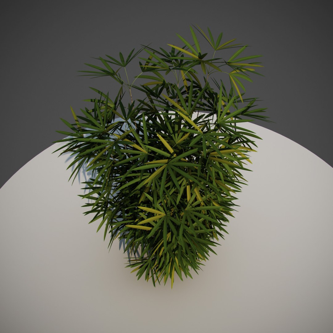 3D early animation https://p.turbosquid.com/ts-thumb/US/cGJyZs/kjM0xKGO/j3/jpg/1516058273/1920x1080/fit_q87/18d98f99da15a51c5b6555441c469ca5822e9fb3/j3.jpg