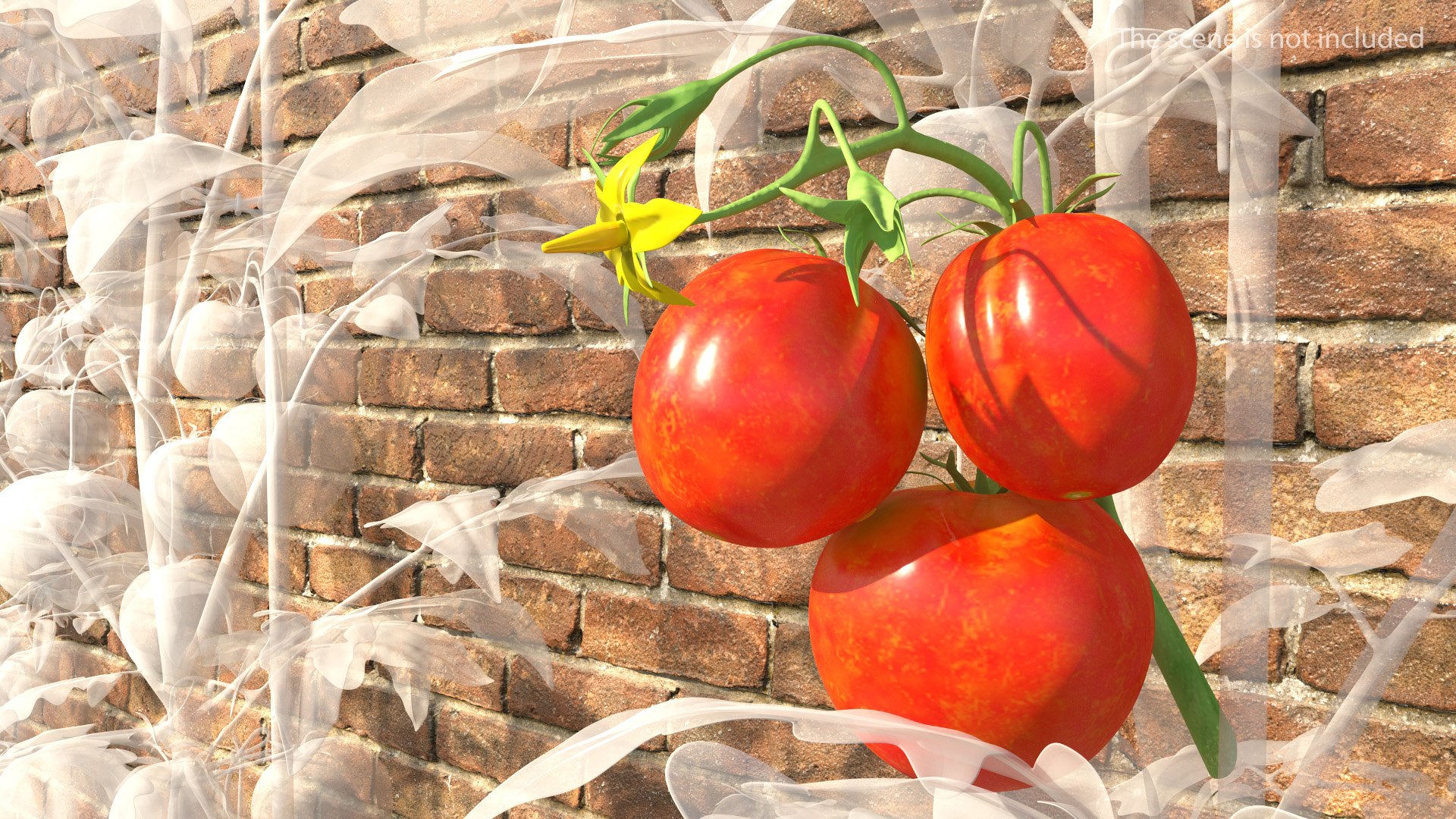 Tomato Branch with Red Tomatoes 3D model preview