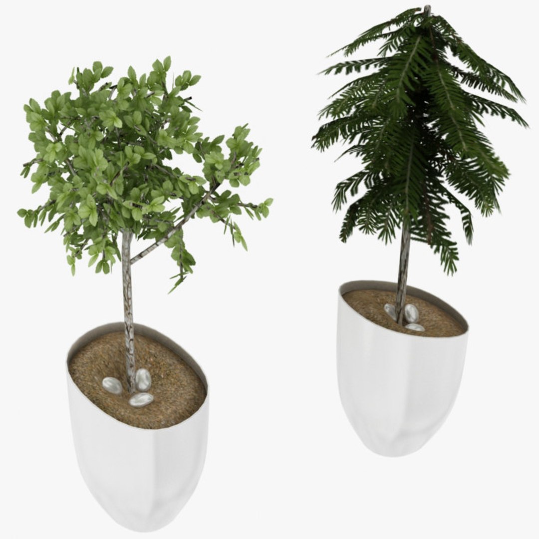 mega airport model https://p.turbosquid.com/ts-thumb/US/r1Oc8K/VZBFzsJV/pottedplant/jpg/1562402716/1920x1080/fit_q87/41da287423830ee3d006d5f8186a9440deeff435/pottedplant.jpg