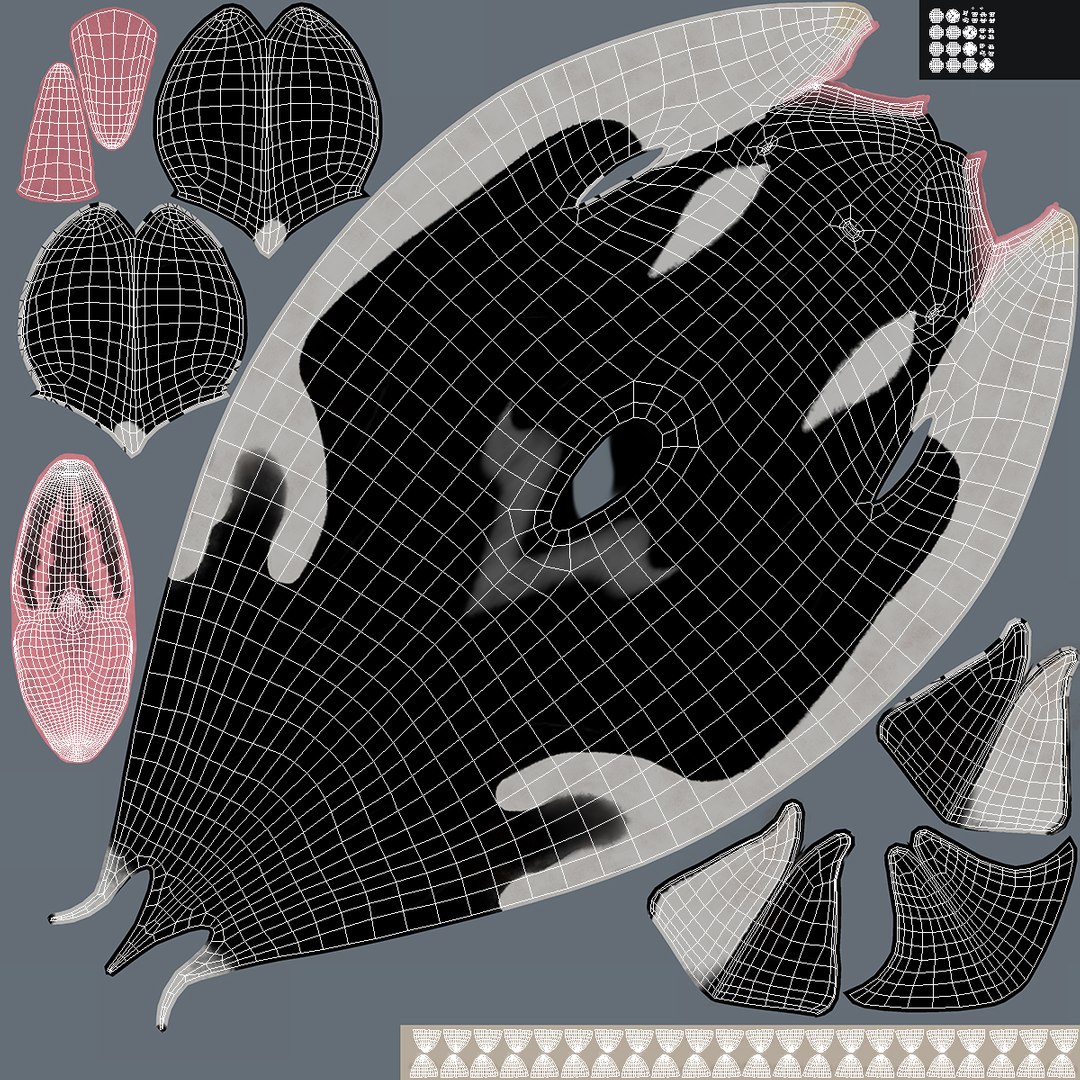 killer whale rigged 3D model https://p.turbosquid.com/ts-thumb/US/r92LP7/1LDKWcfy/killerwhalerigged3dmodel017/jpg/1511106236/1920x1080/fit_q87/4c433788a83805e7f468feb3b2d7762a53a00684/killerwhalerigged3dmodel017.jpg