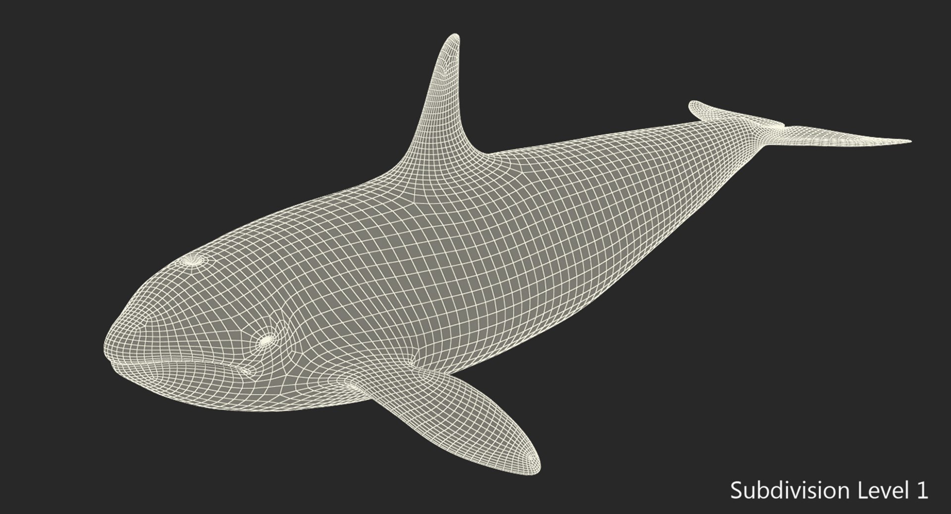 killer whale rigged 3D model https://p.turbosquid.com/ts-thumb/US/r92LP7/4kClgq1H/killerwhalerigged3dmodel016/jpg/1511106233/1920x1080/fit_q87/917a4691fa5711cbfa9577355526cfbe1f3bb216/killerwhalerigged3dmodel016.jpg