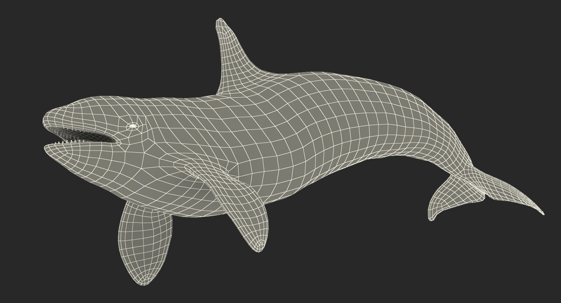 killer whale rigged 3D model https://p.turbosquid.com/ts-thumb/US/r92LP7/6li8doWK/killerwhalerigged3dmodel024/jpg/1511106257/1920x1080/fit_q87/e62ddbdca5bdf9594587473ca52a50ca424f7356/killerwhalerigged3dmodel024.jpg