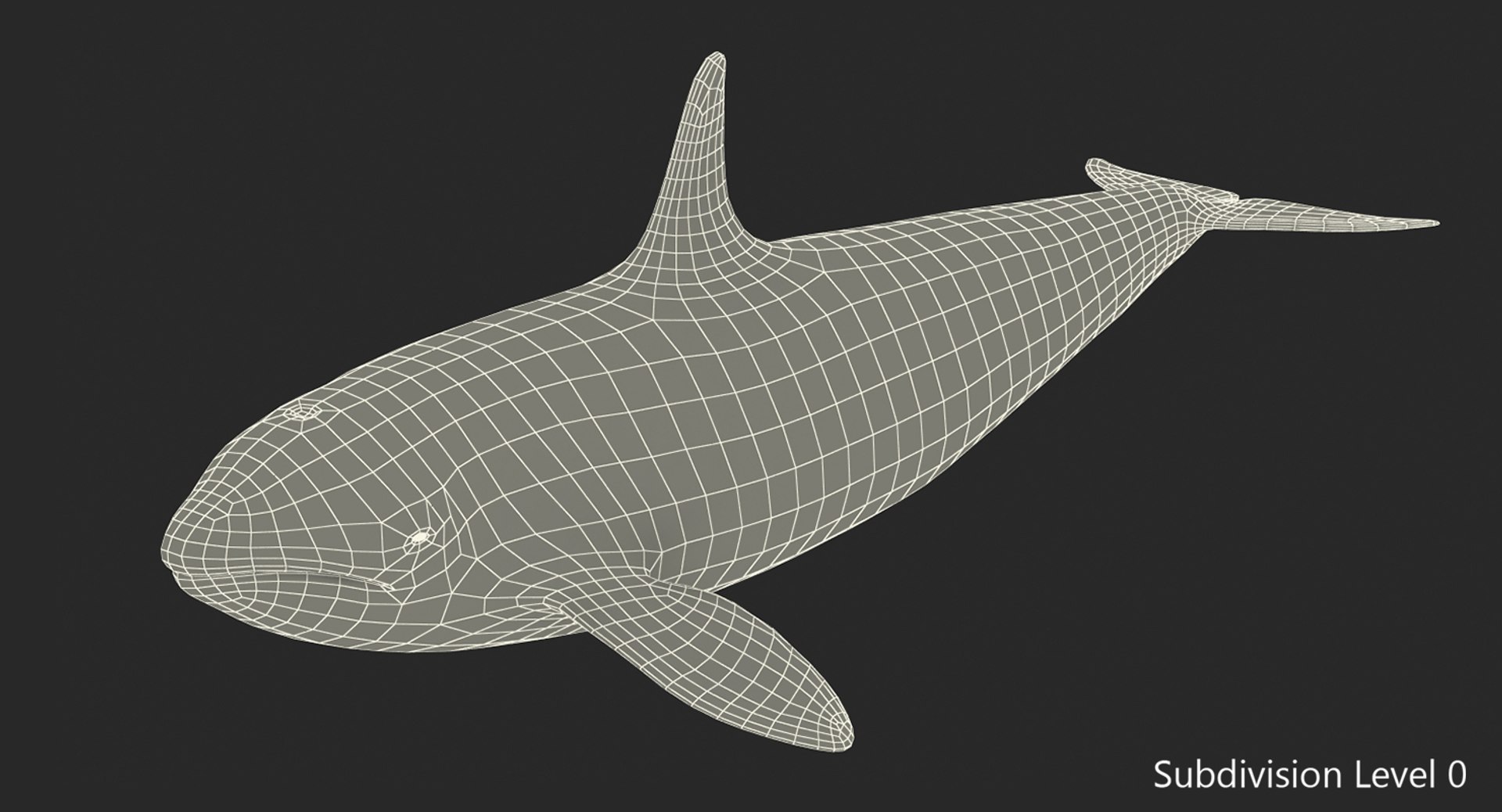 killer whale rigged 3D model https://p.turbosquid.com/ts-thumb/US/r92LP7/GXEExSWA/killerwhalerigged3dmodel015/jpg/1511106230/1920x1080/fit_q87/1c1367f63327403d1a88596d809aec166db2eeef/killerwhalerigged3dmodel015.jpg