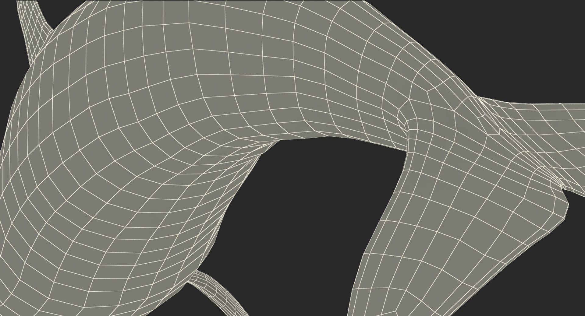killer whale rigged 3D model https://p.turbosquid.com/ts-thumb/US/r92LP7/S3ltYnGS/killerwhalerigged3dmodel026/jpg/1511106262/1920x1080/fit_q87/99394a08a3bfb5519e14d5ec62d5182358677c4f/killerwhalerigged3dmodel026.jpg