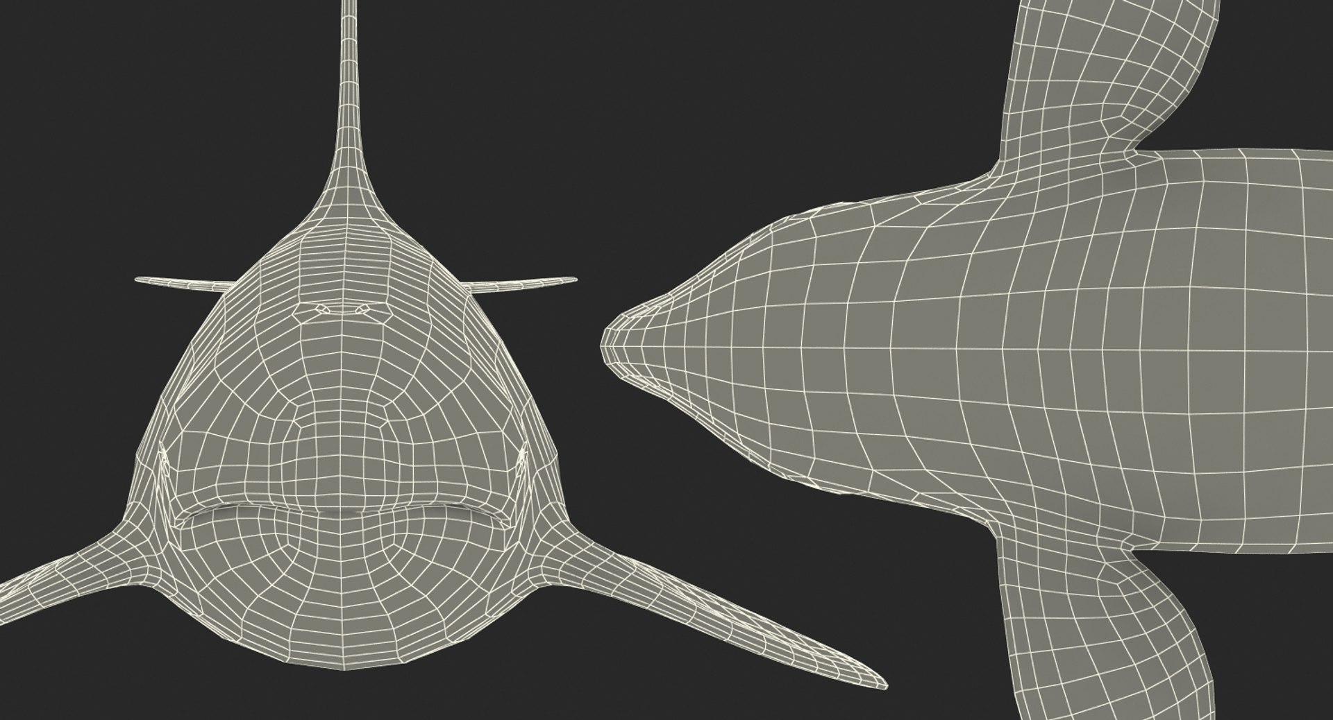 killer whale rigged 3D model https://p.turbosquid.com/ts-thumb/US/r92LP7/Uei7evM4/killerwhalerigged3dmodel025/jpg/1511106260/1920x1080/fit_q87/9e80c7053a2d28f0acf7d90cefdae41bc806842f/killerwhalerigged3dmodel025.jpg