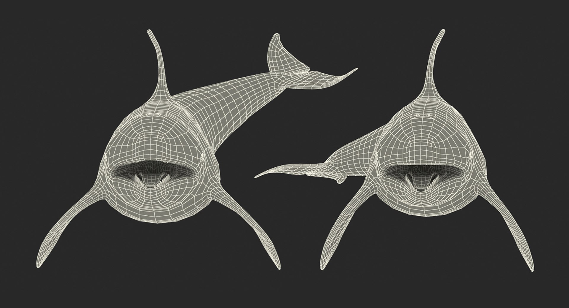 killer whale rigged 3D model https://p.turbosquid.com/ts-thumb/US/r92LP7/de5tOjh8/killerwhalerigged3dmodel023/jpg/1511106255/1920x1080/fit_q87/c7f17cdf1bab047528d3a80ea10f667e2eeb9a0f/killerwhalerigged3dmodel023.jpg