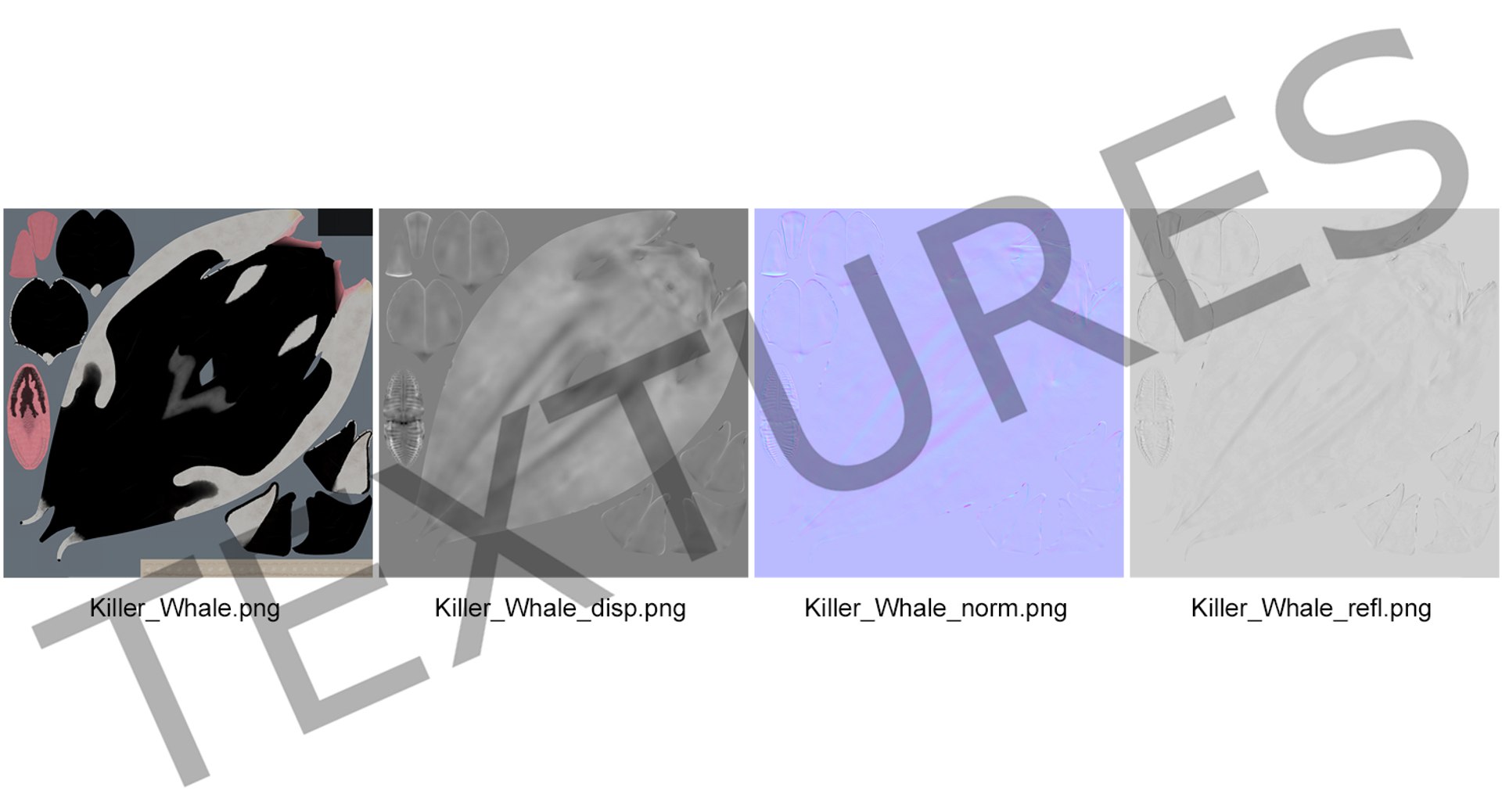 killer whale rigged 3D model https://p.turbosquid.com/ts-thumb/US/r92LP7/fapXOo43/killerwhalerigged3dmodel018/jpg/1511106239/1920x1080/fit_q87/ec3f8e4385165b2297af624028d09db62860ea28/killerwhalerigged3dmodel018.jpg