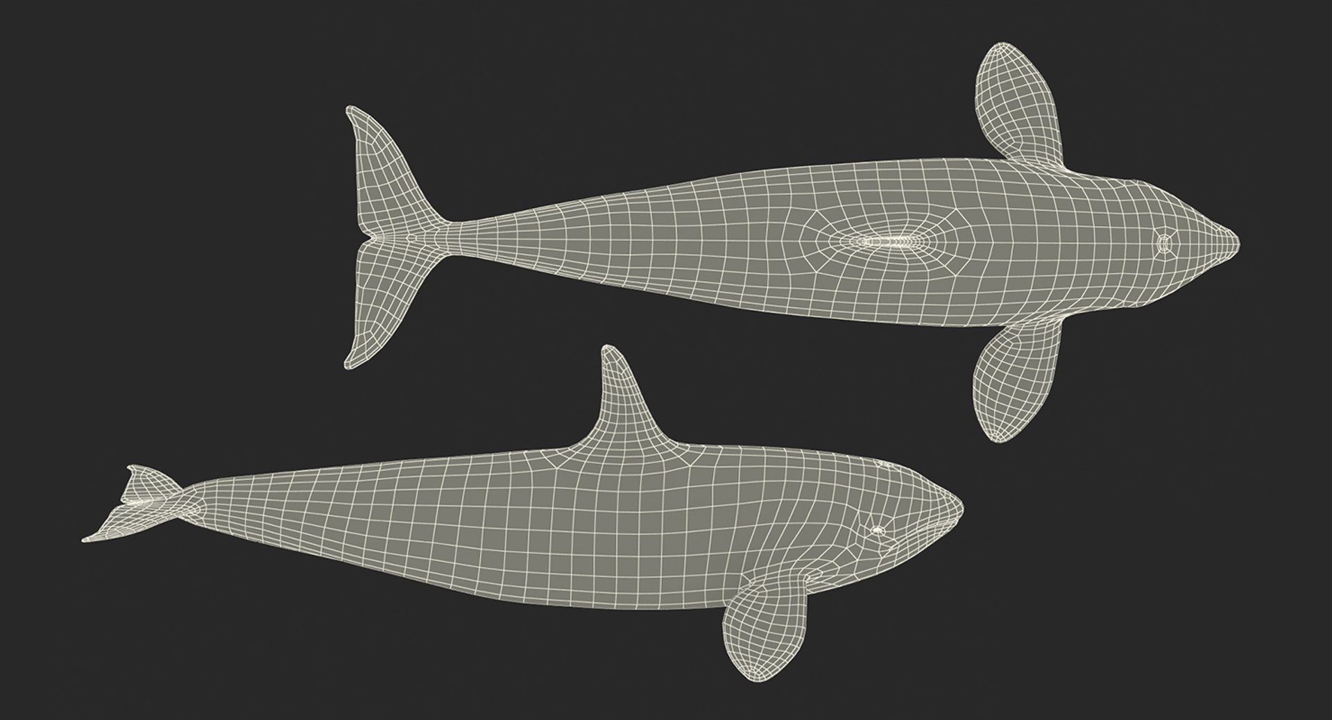 killer whale rigged 3D model https://p.turbosquid.com/ts-thumb/US/r92LP7/utu803Bm/killerwhalerigged3dmodel021/jpg/1511106249/1920x1080/fit_q87/e3ac9f4688f2995c6302a6633f227924915fbd43/killerwhalerigged3dmodel021.jpg