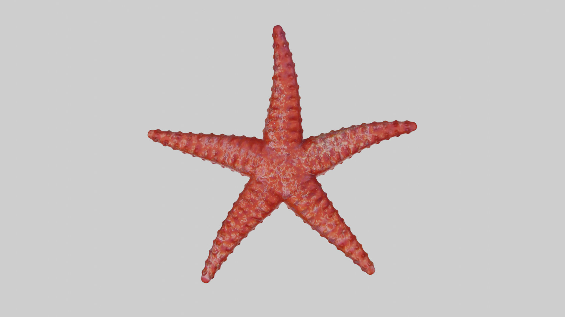 starfish mid 1