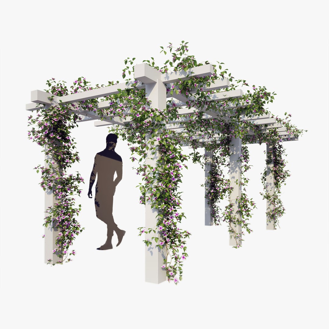 3D clematis - https://p.turbosquid.com/ts-thumb/UT/628Z7W/Z88nxRt0/ts_gw_clematis_preview_main/jpg/1534865248/1920x1080/fit_q87/761282e7dc3d550dca797358ef47e1b0095f11da/ts_gw_clematis_preview_main.jpg