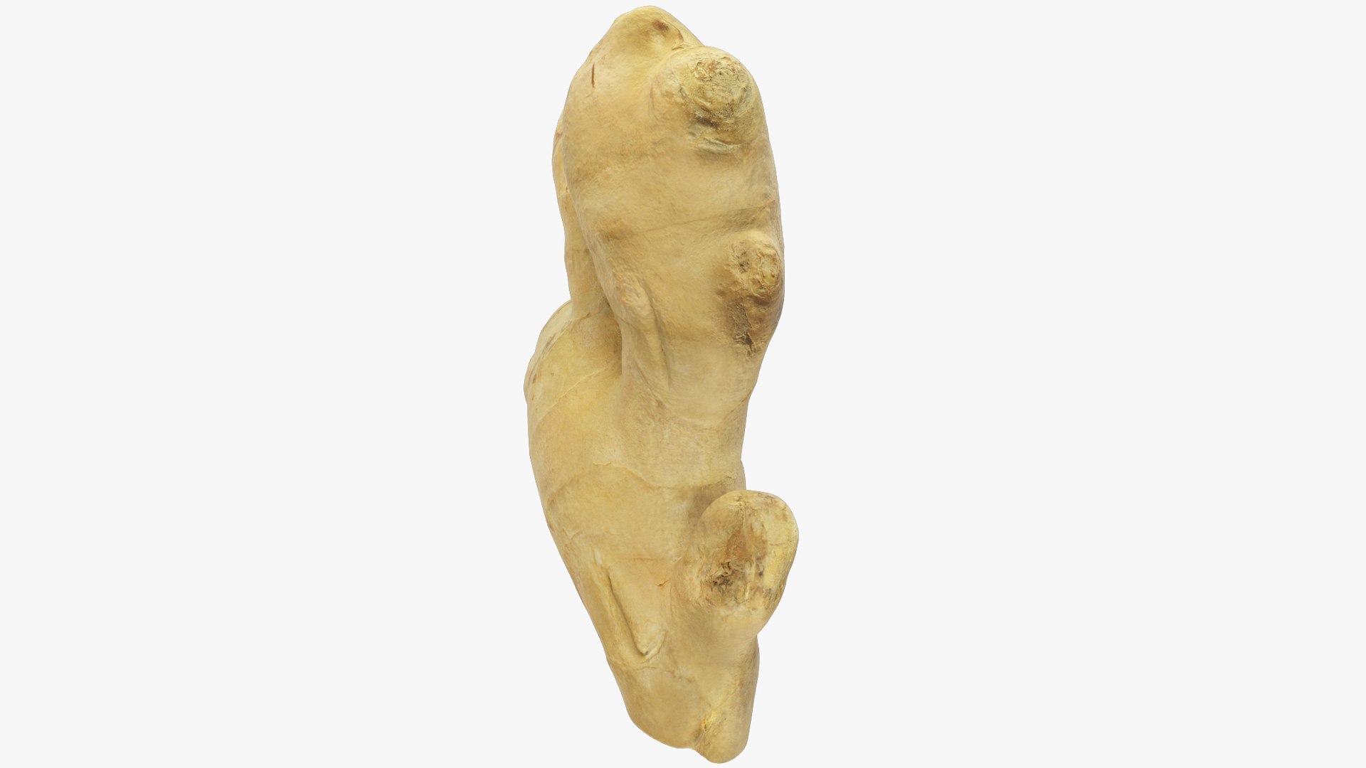 3D Ginger and Lemon Collection V3 https://p.turbosquid.com/ts-thumb/UT/7gcaGJ/4V/g2_004_010/png/1708033295/1920x1080/fit_q87/f575048eeb034fec7e2f74c7491911d00e9879d4/g2_004_010.jpg