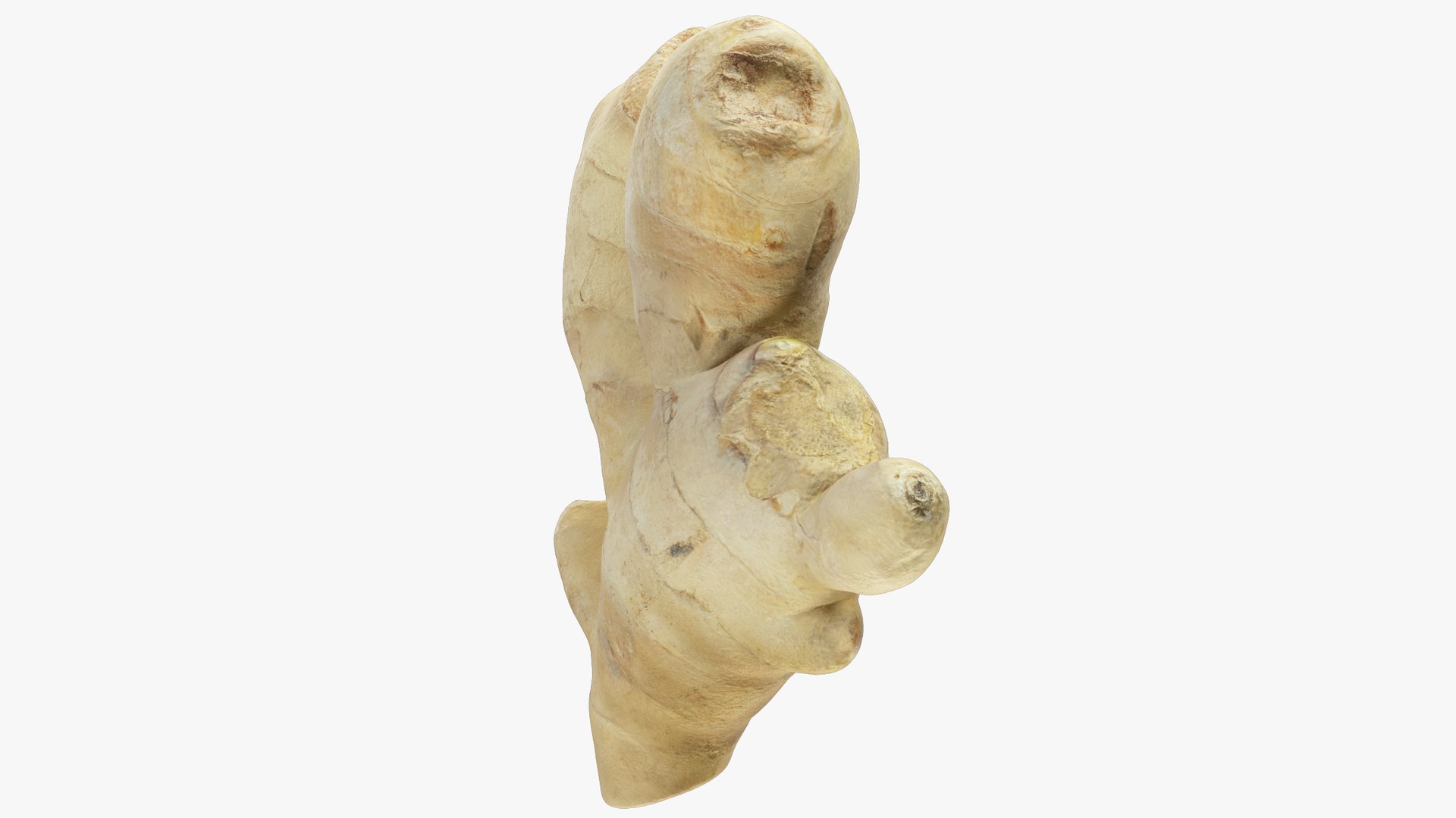 3D Ginger and Lemon Collection V3 https://p.turbosquid.com/ts-thumb/UT/7gcaGJ/bR/g2_004_003/png/1708033290/1920x1080/fit_q87/fa581894c1f34647e7ddc8ba6cde49b1bd3eb89a/g2_004_003.jpg