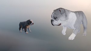 3D Bulldog Family model