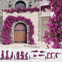 Bougainvillea Collection 2 (+GrowFX)