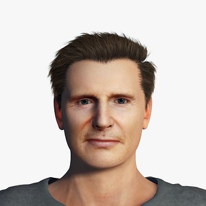 Rigged ready for animation 3d model