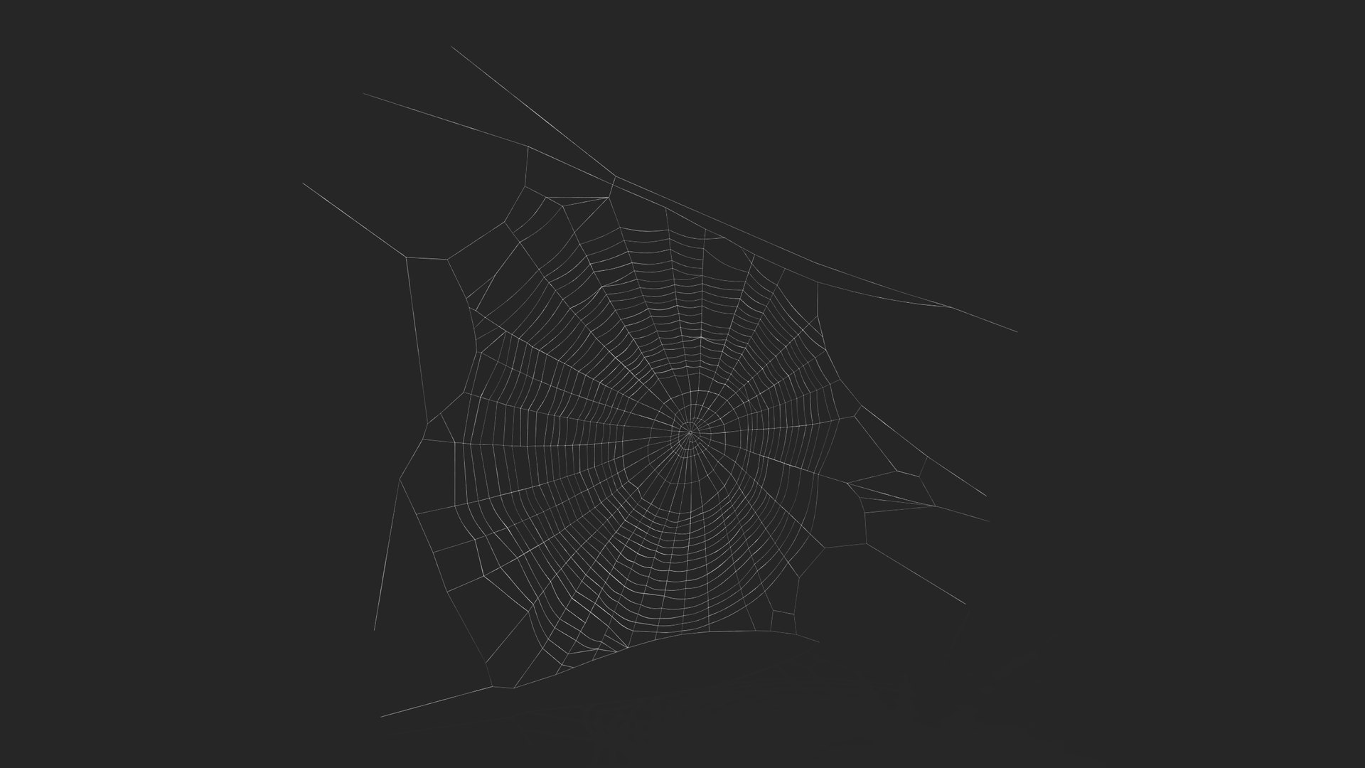 3D Round Spider Web Model - TurboSquid 2206787