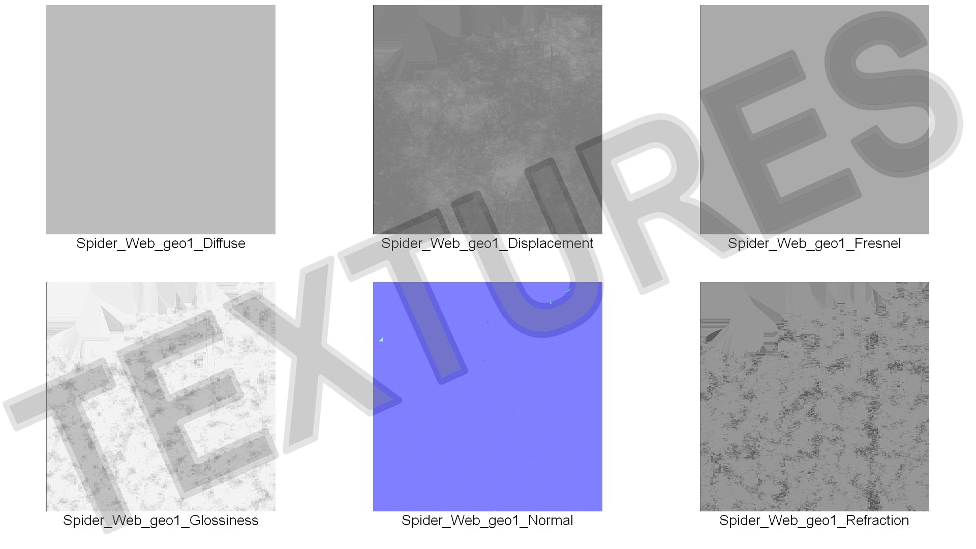 3D Round Spider Web Model - TurboSquid 2206787