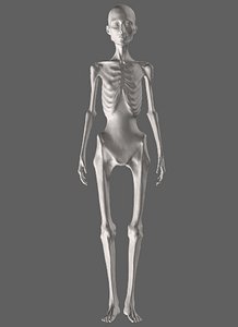 anorexic female 3D model