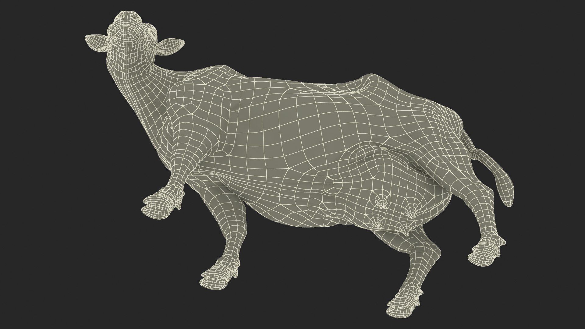 Channel Island Cow Brown model https://p.turbosquid.com/ts-thumb/UT/aety1E/9Q/channel_island_cow_brown_022/jpg/1732214542/1920x1080/fit_q87/669cd09cbc284bdbb9f54bc575d7fce4ad8093d1/channel_island_cow_brown_022.jpg