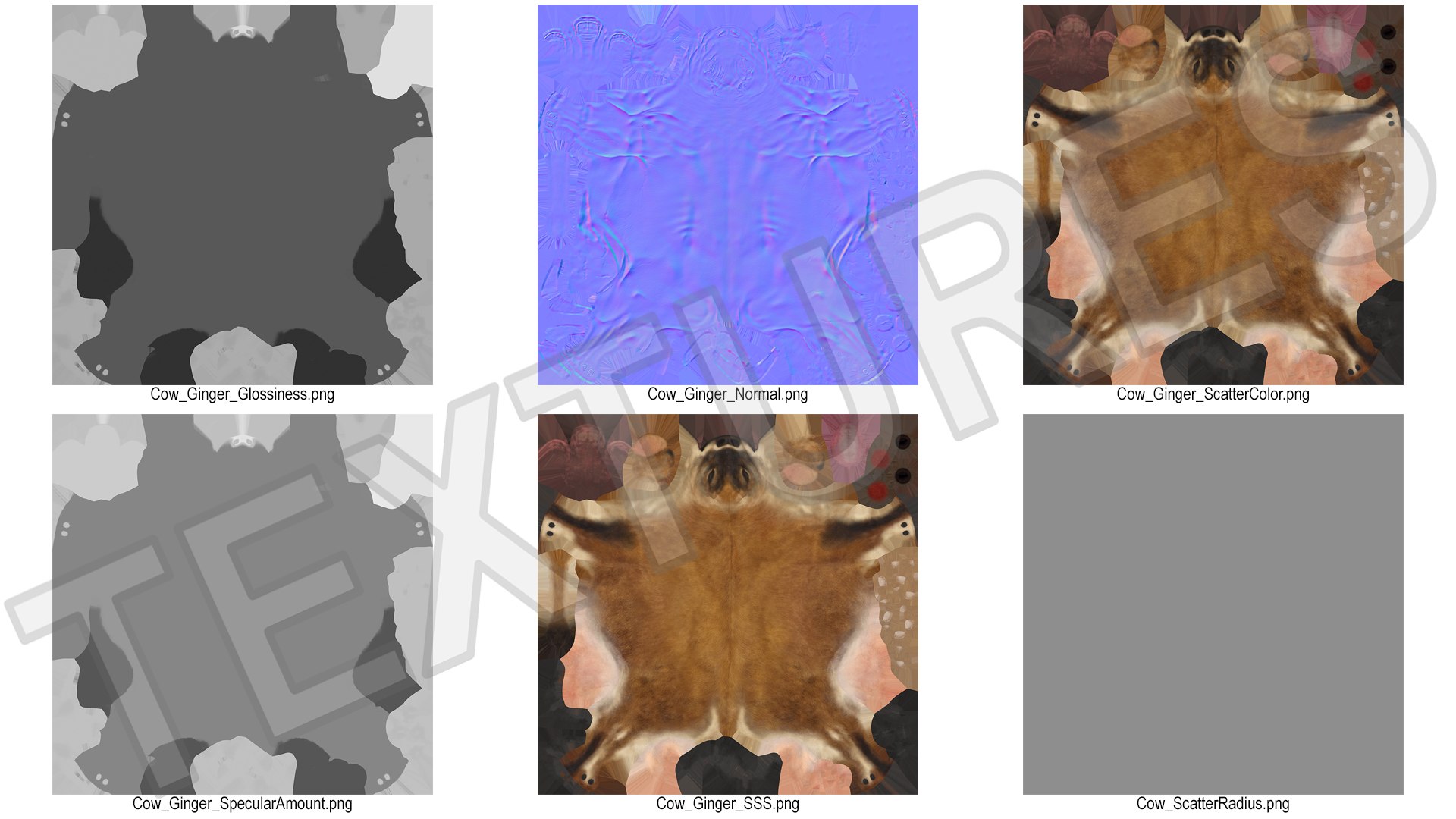 Channel Island Cow Brown model https://p.turbosquid.com/ts-thumb/UT/aety1E/Iz/channel_island_cow_brown_018/jpg/1732214525/1920x1080/fit_q87/6a67b009e381628be3c8304f8bf1f424a797f32e/channel_island_cow_brown_018.jpg