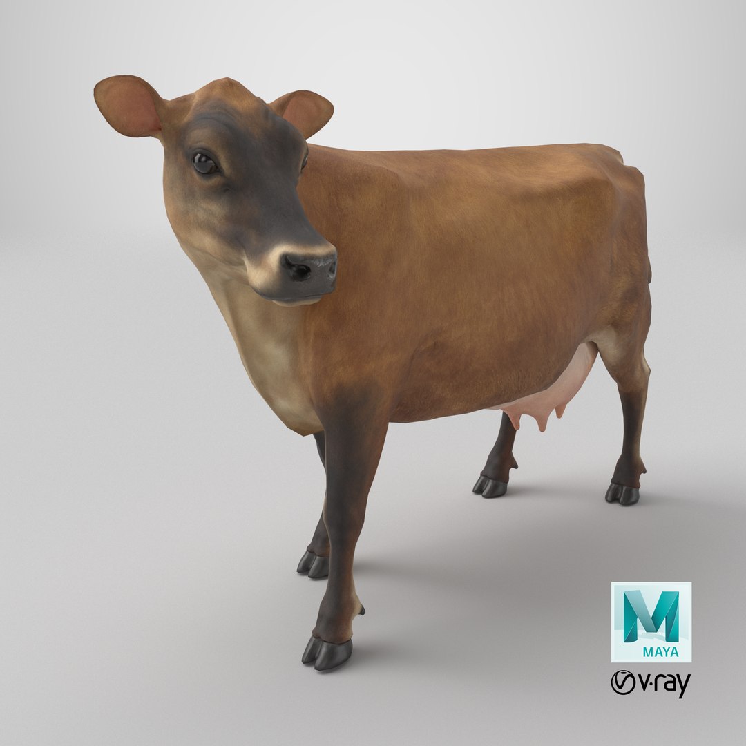Channel Island Cow Brown model https://p.turbosquid.com/ts-thumb/UT/aety1E/KL/stemcell_maya_vray_render/png/1734169135/1920x1080/fit_q87/4961f5cec0fd100775b9097e4cd0ca98458866ec/stemcell_maya_vray_render.jpg