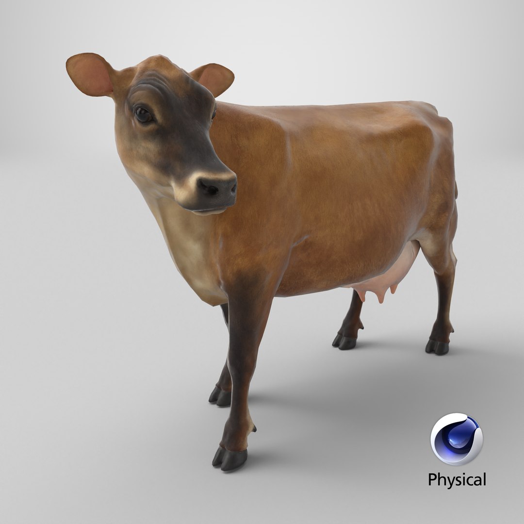 Channel Island Cow Brown model https://p.turbosquid.com/ts-thumb/UT/aety1E/bB/stemcell_cinema_4d_physical_render/png/1734169138/1920x1080/fit_q87/9a04312d3b0c970b87135a5070d56bad50fb7ca3/stemcell_cinema_4d_physical_render.jpg