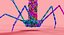 Bacteriophage