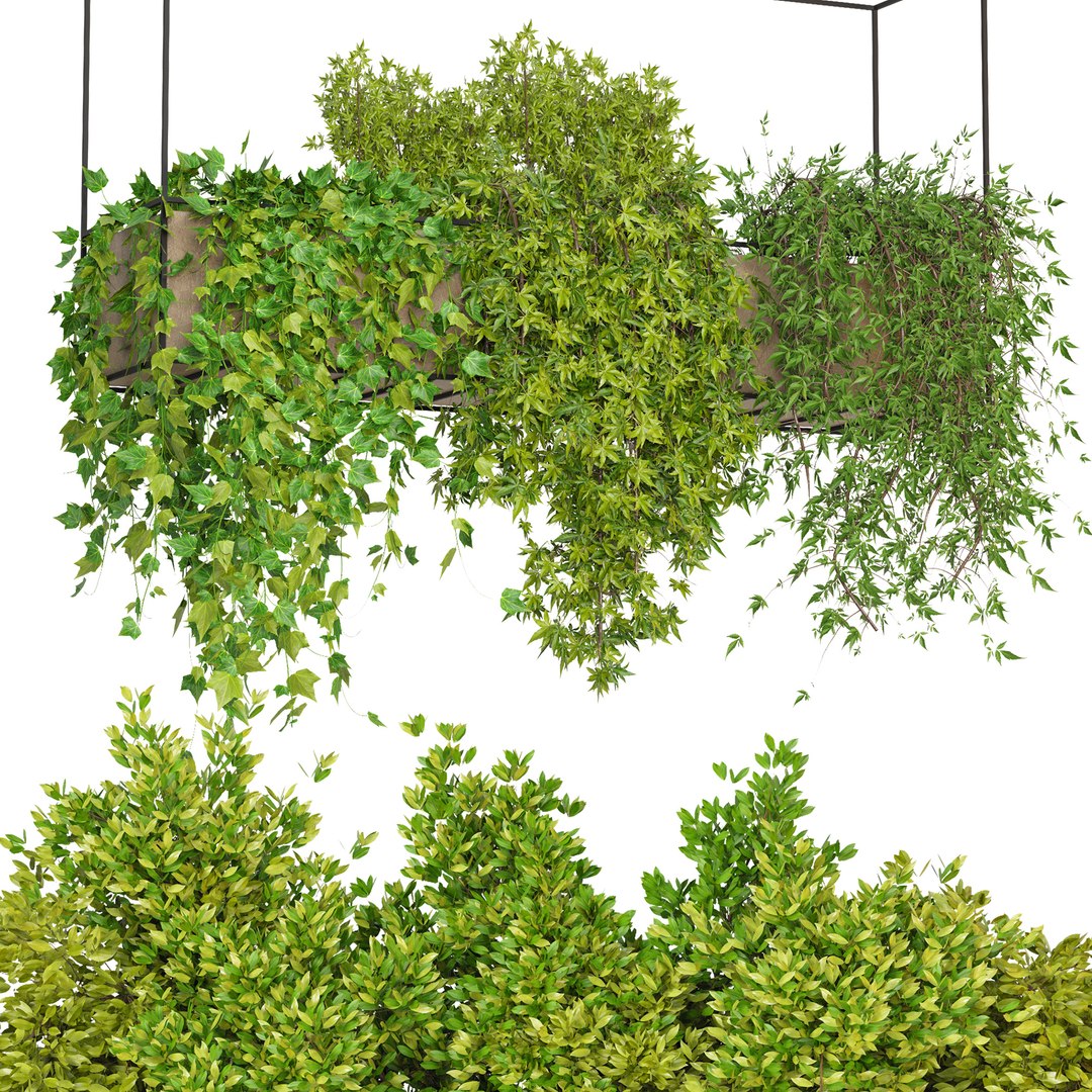 Indoor Hanging Plants - Set 03 3d Model - Turbosquid 1929390