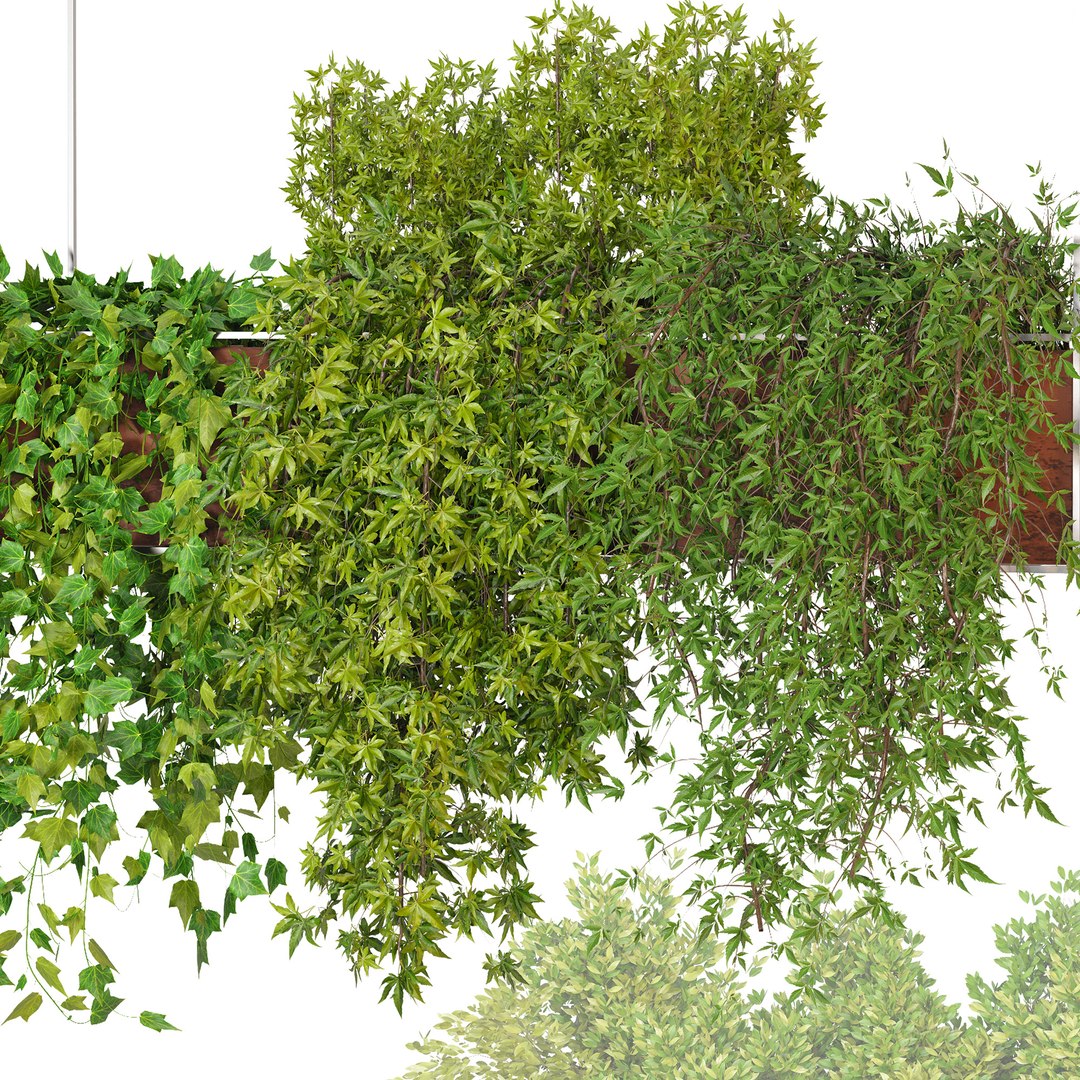 Indoor Hanging Plants - Set 03 3D Model - TurboSquid 1929390