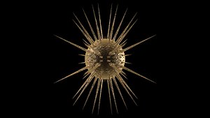 Rabiolaria