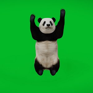 3D model Giant Panda Bear