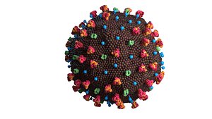 coronavirus germs bacteria 3D