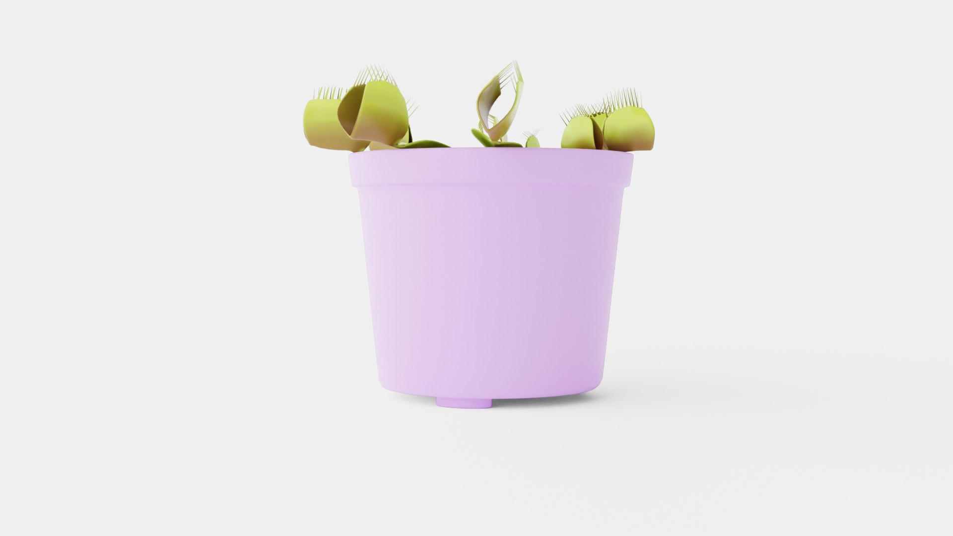 3D Dionaea Muscipula - TurboSquid 2256285