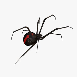 Black Widow Rigged