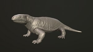 print model