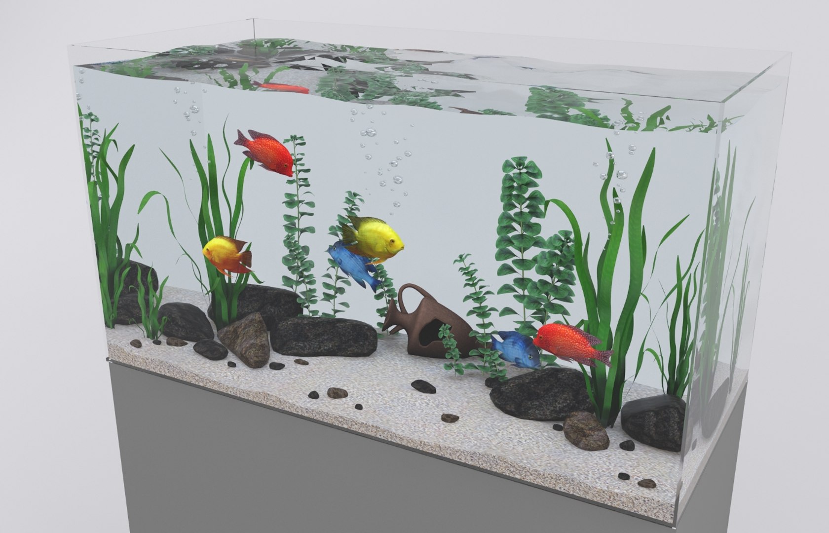 3d aquarium fish tropical model