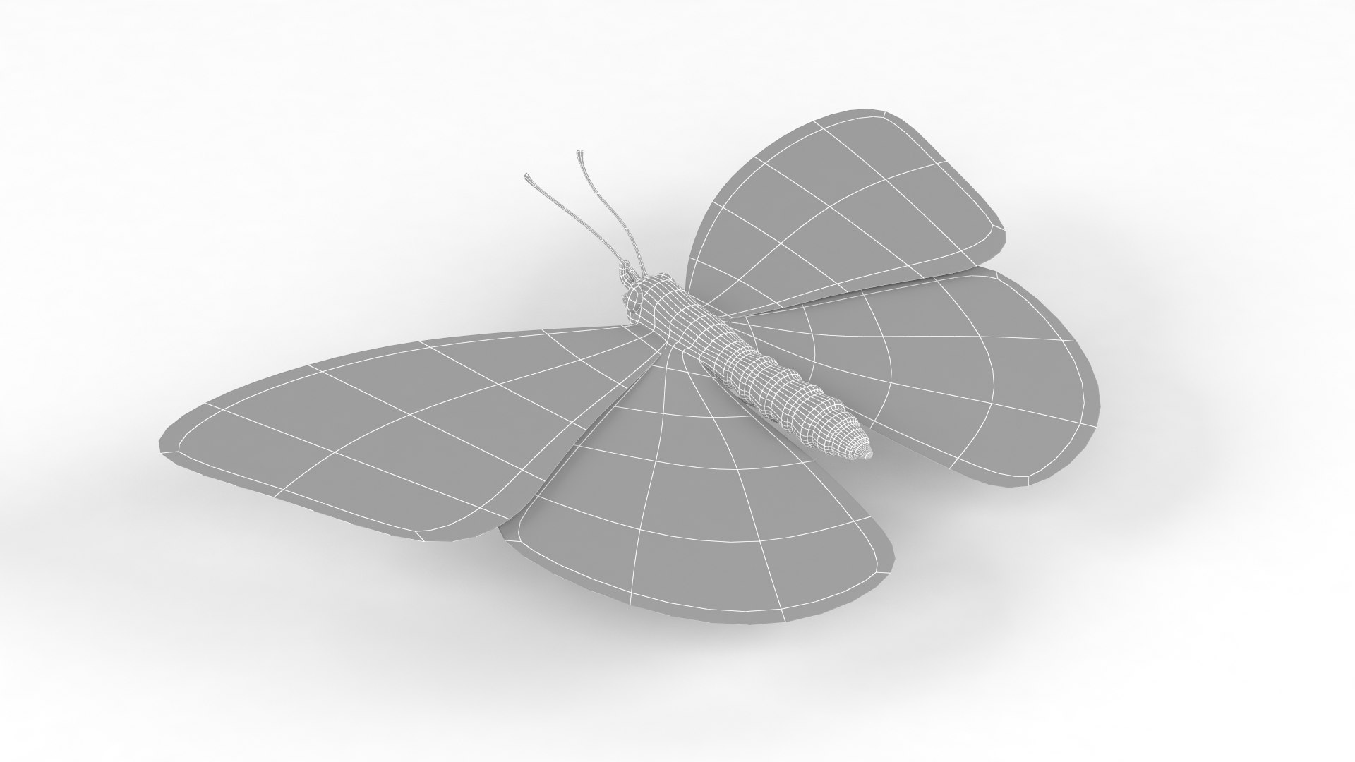 3D Butterfly - TurboSquid 2238061