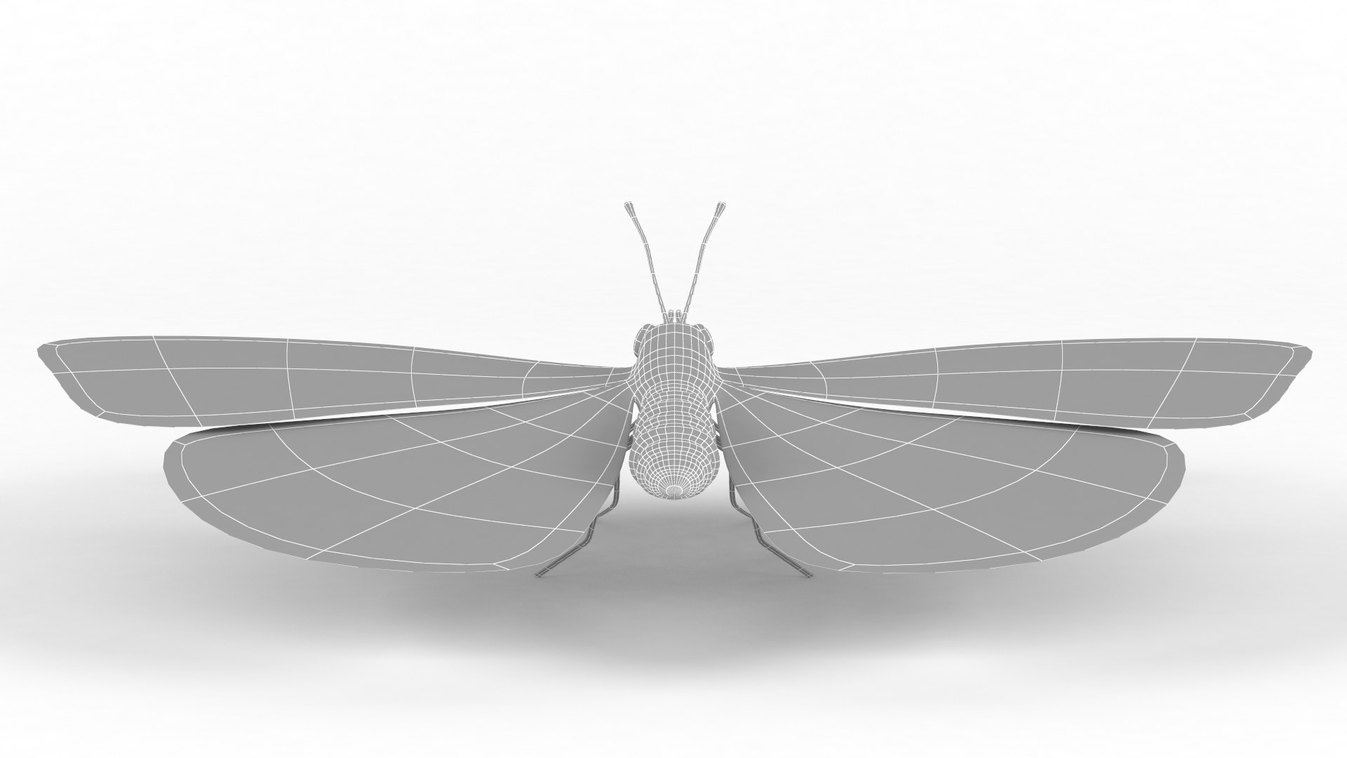 3D Butterfly - TurboSquid 2238061