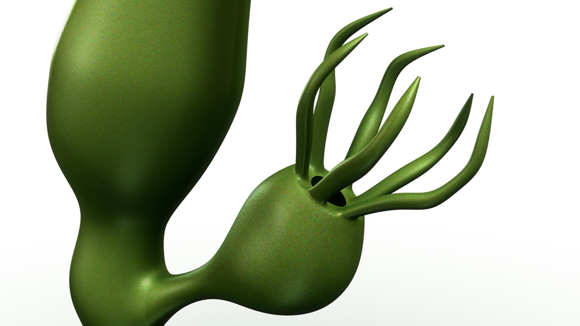 3d model hydra lernaean https://p.turbosquid.com/ts-thumb/UV/7lZWM1/Z0iWmQdV/b0415hydra_closeup.0001/jpg/1479815846/1920x1080/fit_q87/9641f4f166723086267ceb923d0846e2fb16dc5c/b0415hydra_closeup.0001.jpg