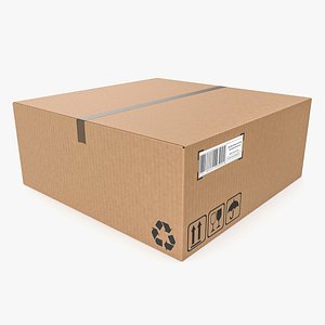 Cardboard box 14 3D