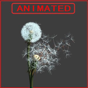 3d taraxacum dandelion