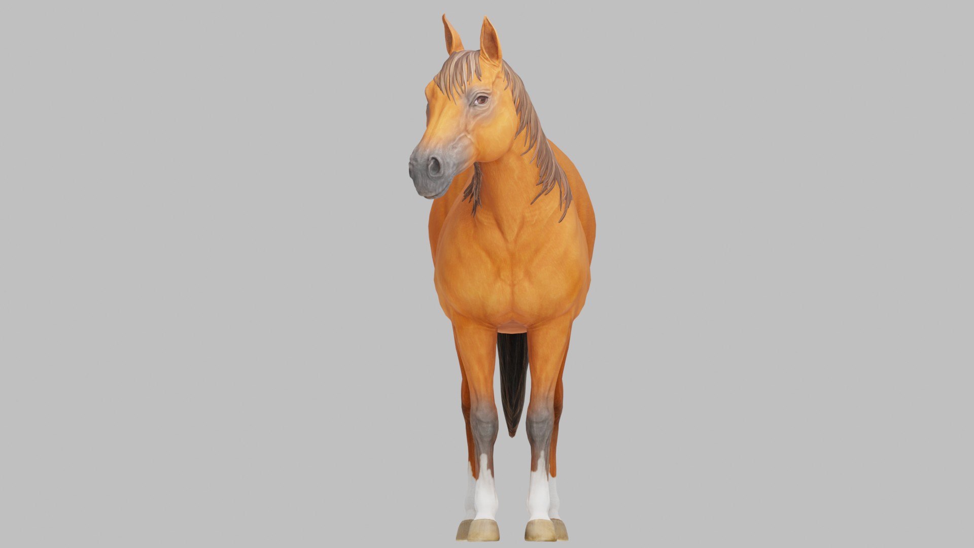 3D Horse Realistic Equine Animal Asset https://p.turbosquid.com/ts-thumb/UV/M83uJk/0G/preview10011/jpg/1778853185/1920x1080/fit_q87/05d8d65782f1bf80a90a61cf18f119417f19968a/preview10011.jpg