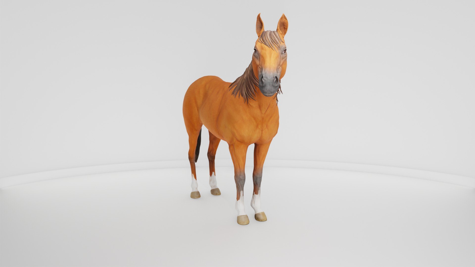 3D Horse Realistic Equine Animal Asset https://p.turbosquid.com/ts-thumb/UV/M83uJk/0W/preview10010/jpg/1778853184/1920x1080/fit_q87/ca3ba8a1cac8194f1e57f89083e323c7c1fea0ef/preview10010.jpg