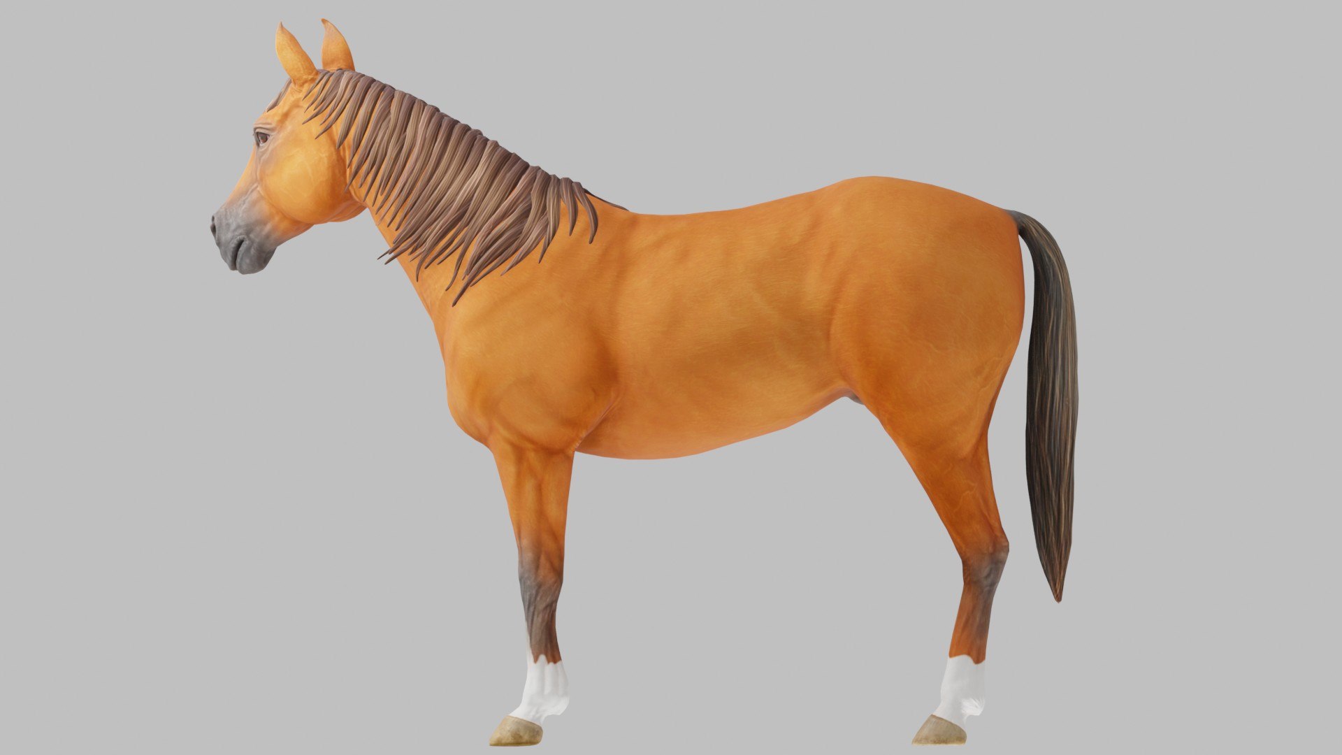 3D Horse Realistic Equine Animal Asset https://p.turbosquid.com/ts-thumb/UV/M83uJk/PU/preview10012/jpg/1778853186/1920x1080/fit_q87/242b9cda0d854c55e1b2bbaf6d53640883039323/preview10012.jpg