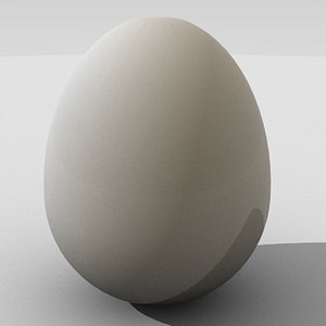 egg